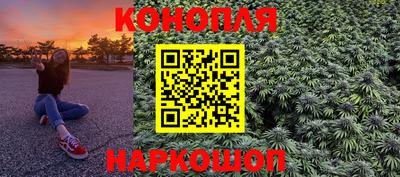 прущие грибы Ставрополь
