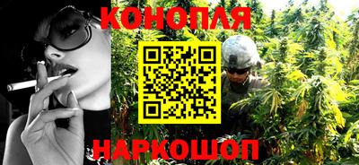 индика Славгород