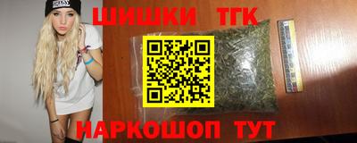 индика Славгород
