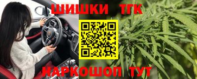 прущие грибы Ставрополь