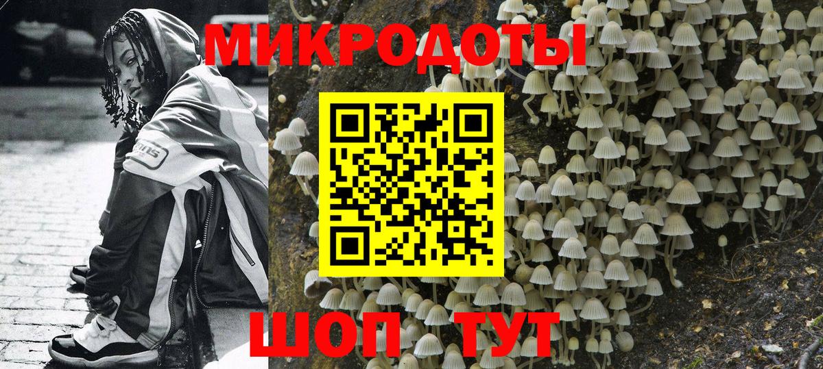 Псилоцибиновые грибы мицелий Полысаево